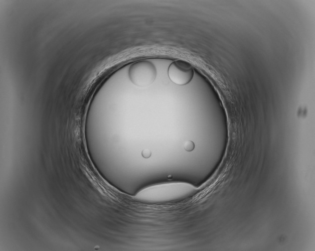 X0000096131499200801180817