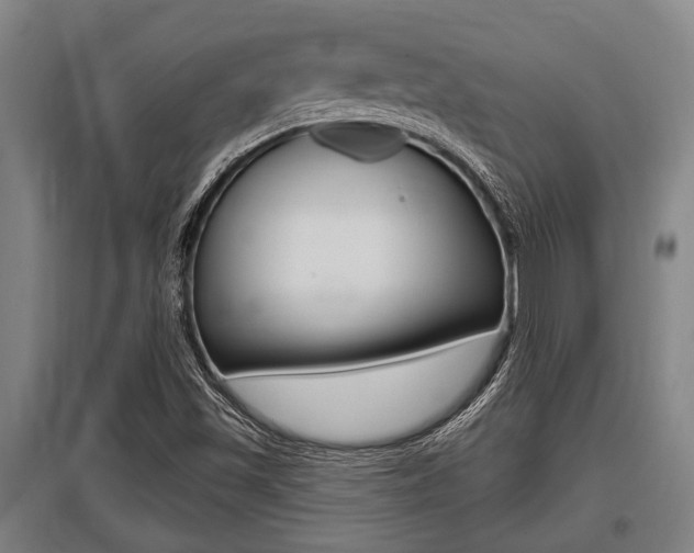 X0000096131501200801180817
