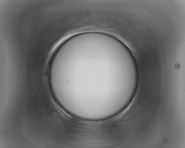 X0000096131502200801180817