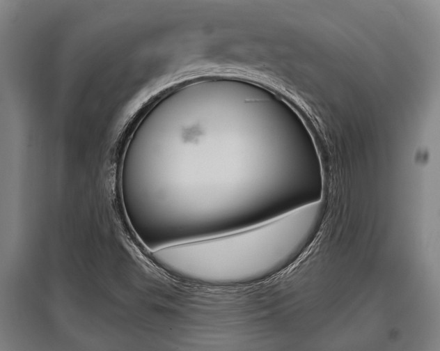 X0000096131503200801180817