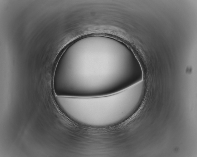 X0000096131505200801180817