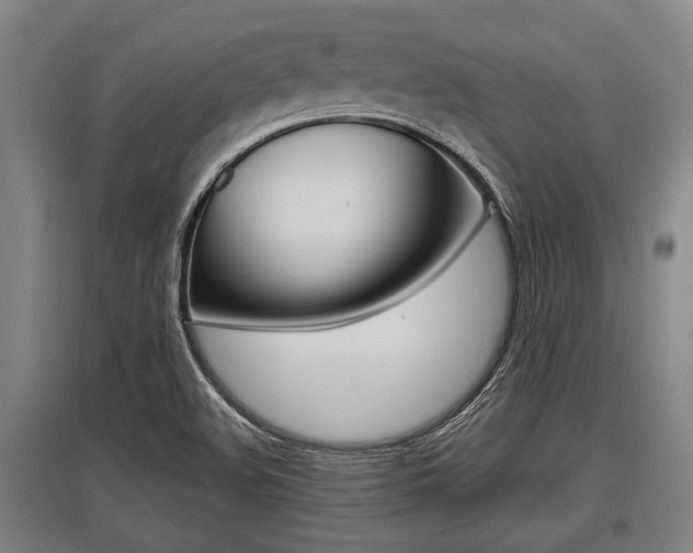 X0000096131508200801180817