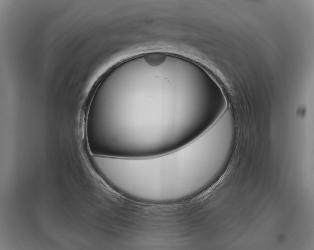X0000096131510200801180817