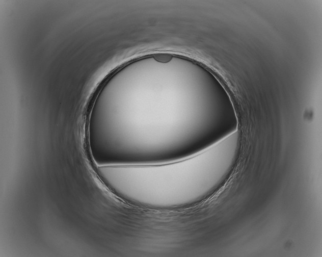 X0000096131511200801180817