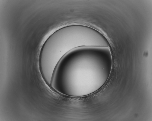 X0000096131512200801180817
