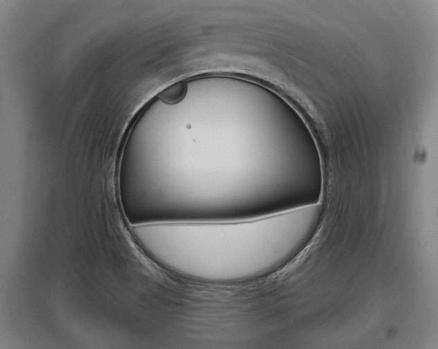 X0000096131513200801180817