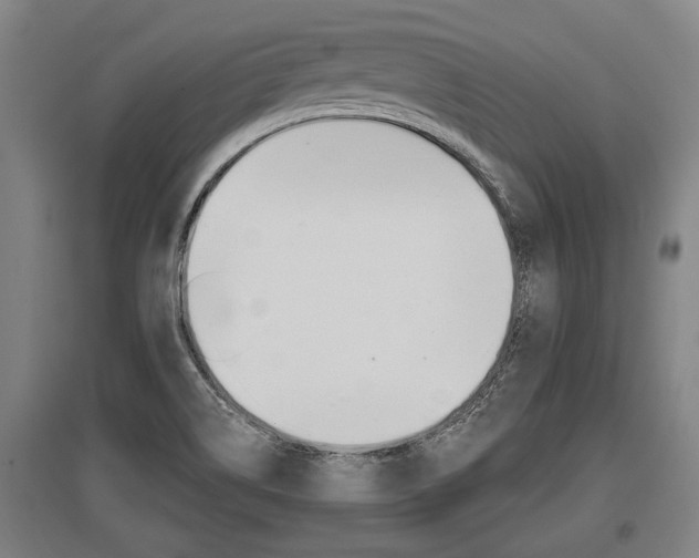 X0000096131514200801180817