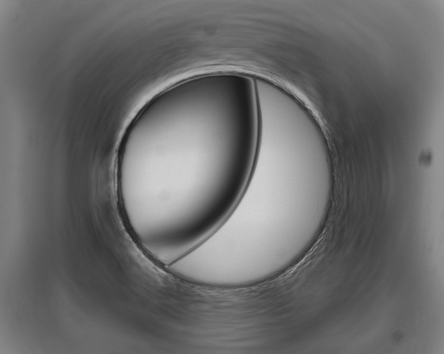 X0000096131516200801180817
