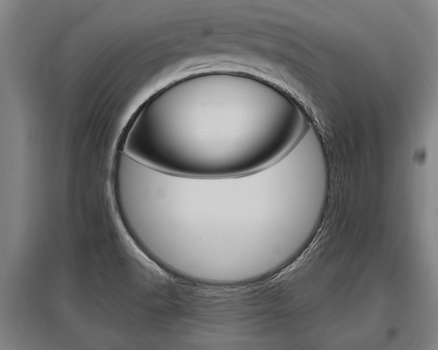X0000096131518200801180817