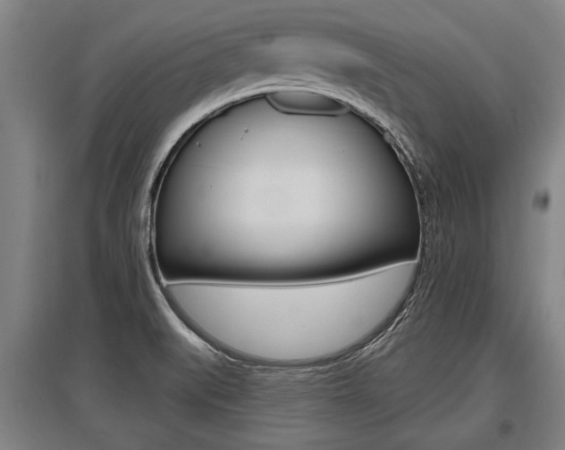 X0000096131519200801180817