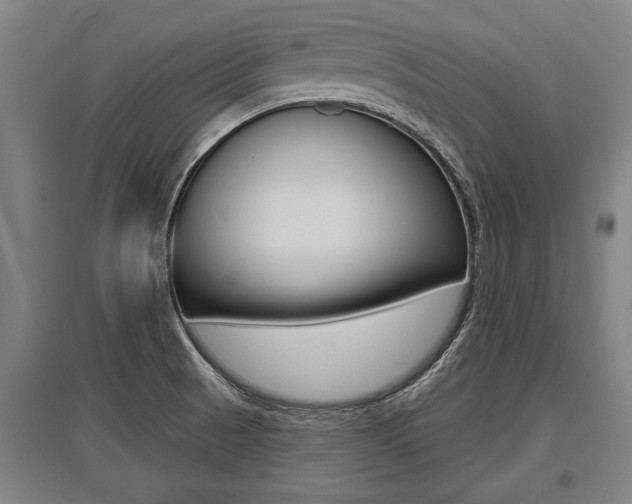 X0000096131521200801180817