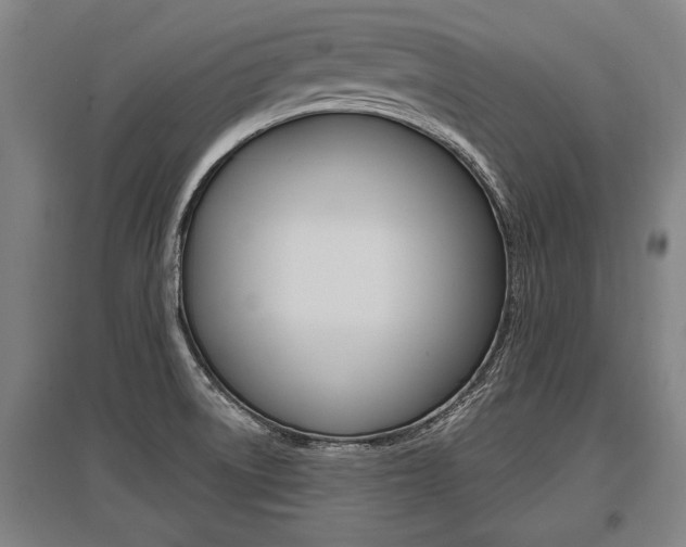 X0000096131522200801180817