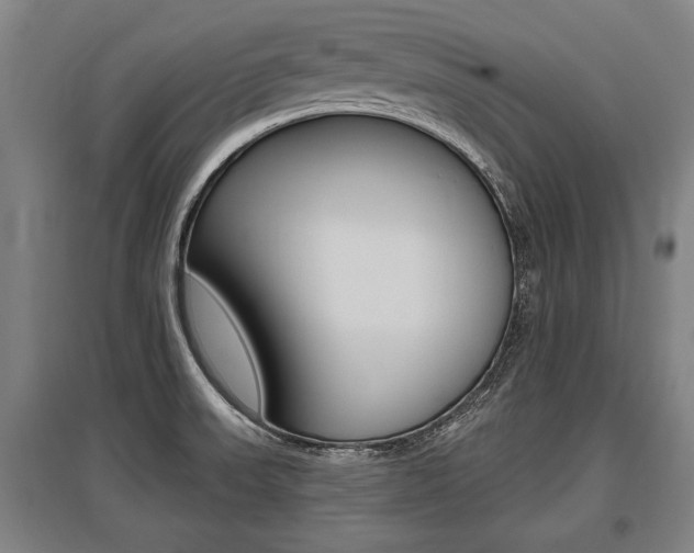 X0000096131523200801180817
