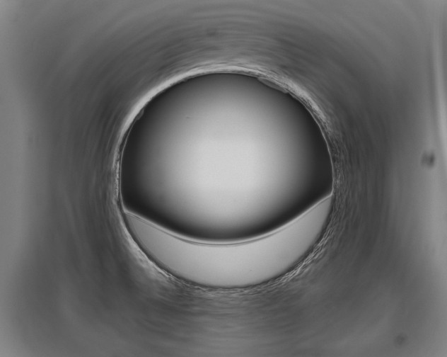 X0000096131524200801180817