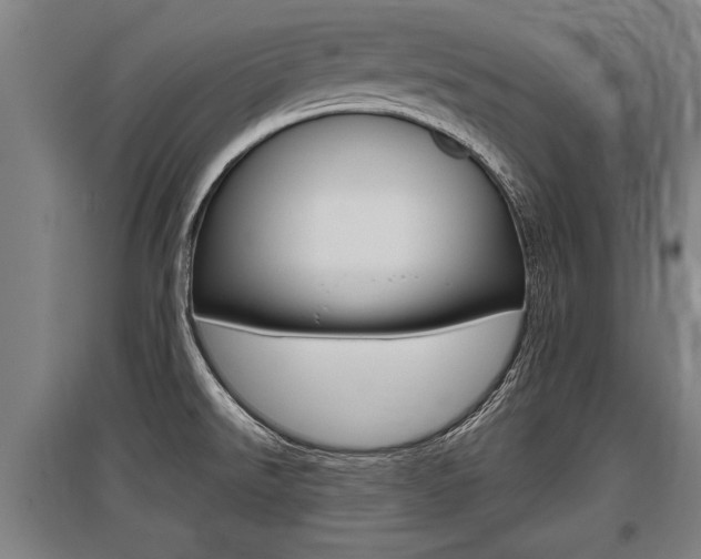 X0000096131526200801180817