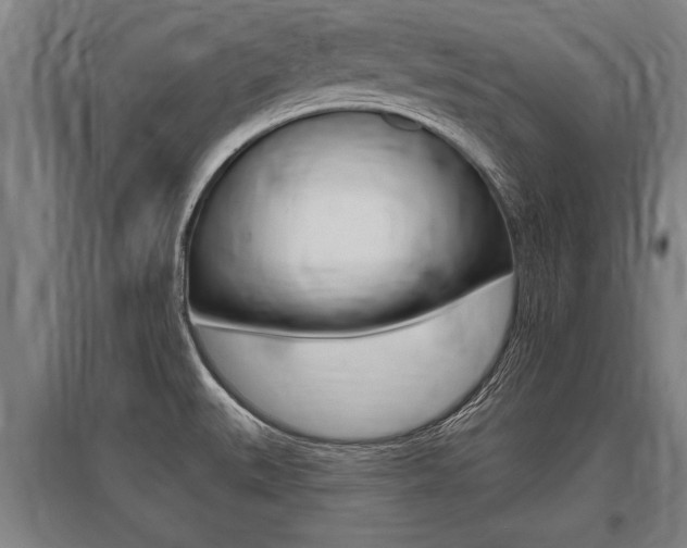 X0000096131527200801180817
