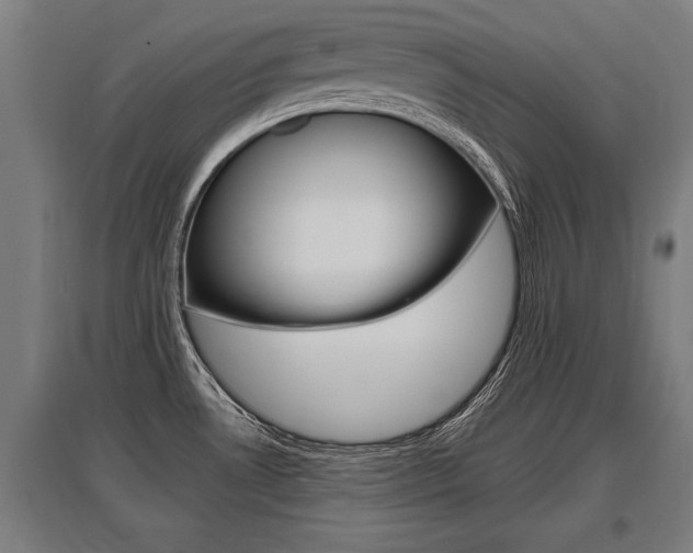 X0000096131530200801180818