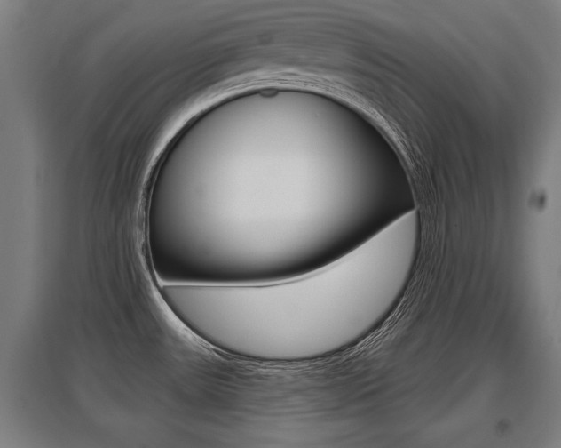 X0000096131531200801180818
