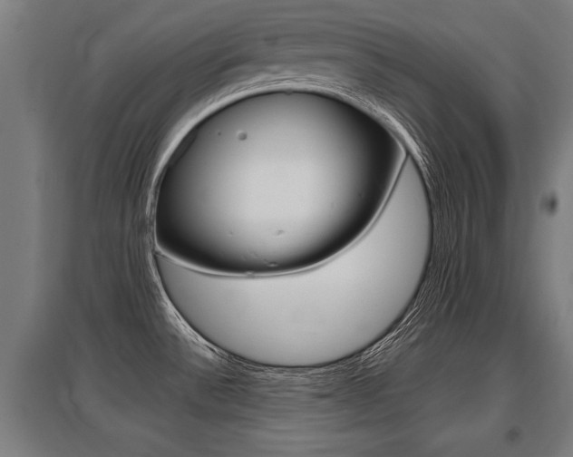 X0000096131532200801180818