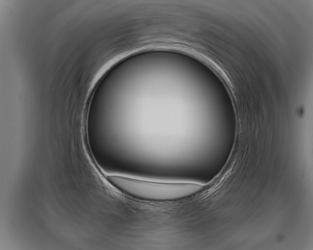 X0000096131533200801180818