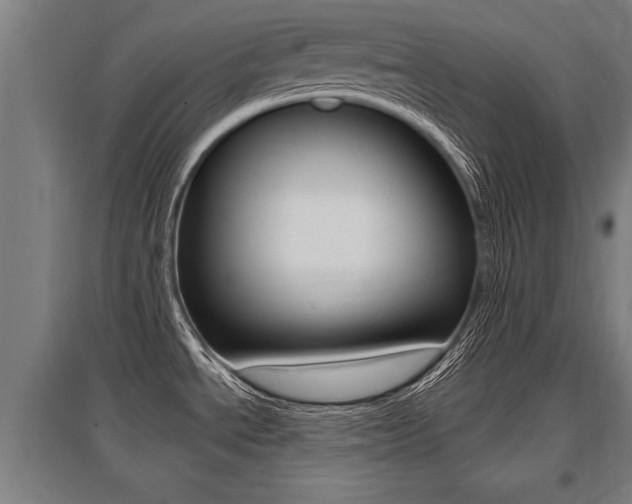 X0000096131534200801180818