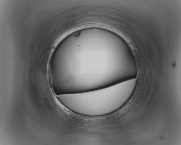 X0000096131535200801180818