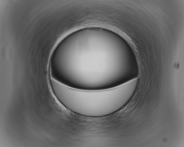 X0000096131536200801180818