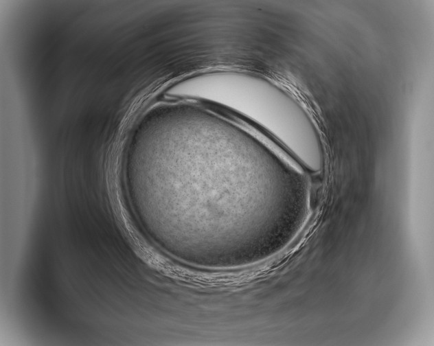 X0000096130001200801181122