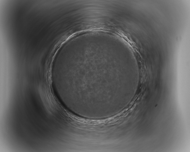 X0000096130002200801181122