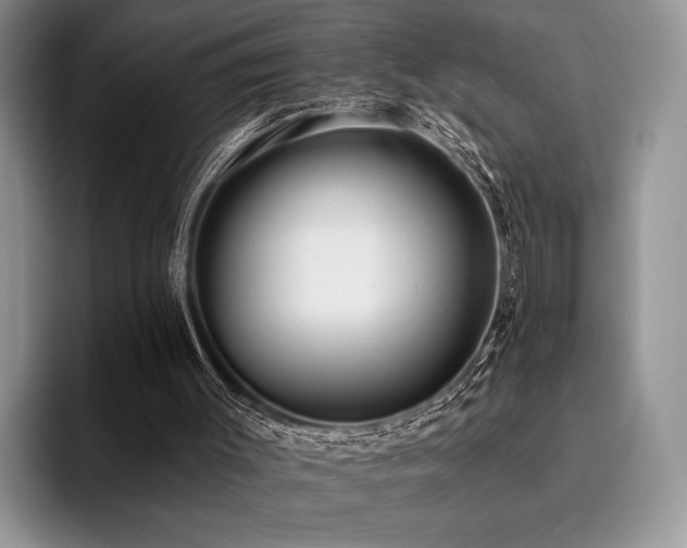 X0000096130003200801181122