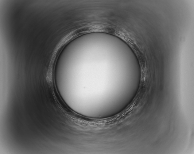 X0000096130004200801181122