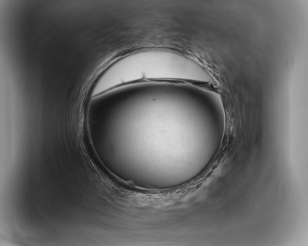 X0000096130005200801181122