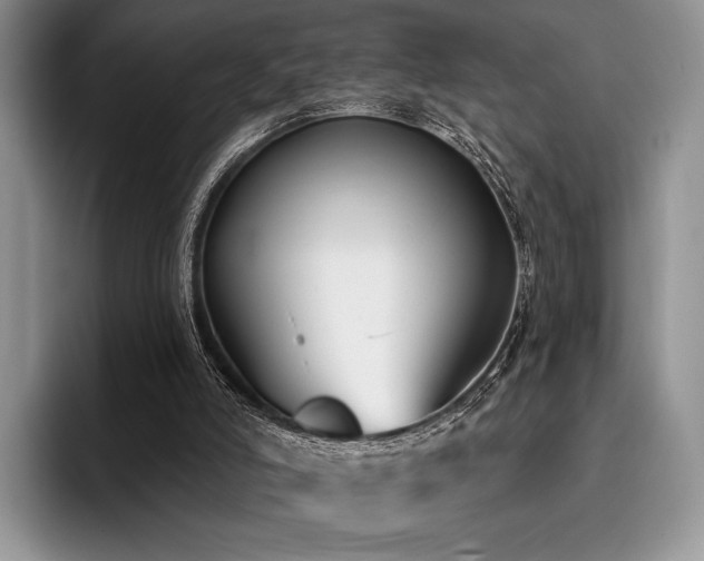 X0000096130006200801181122