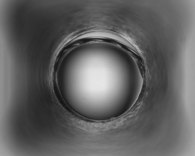 X0000096130007200801181122