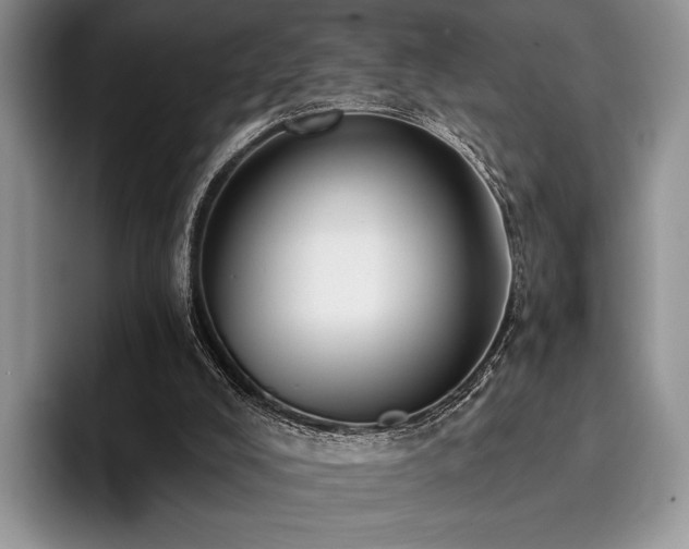 X0000096130008200801181122