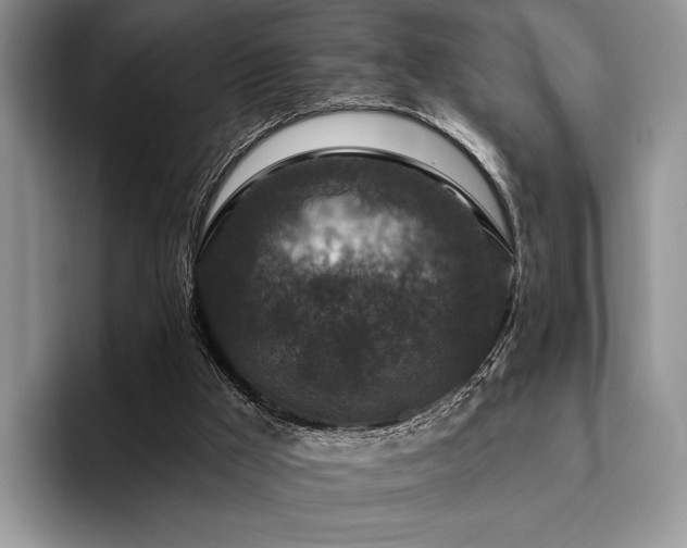 X0000096130009200801181122