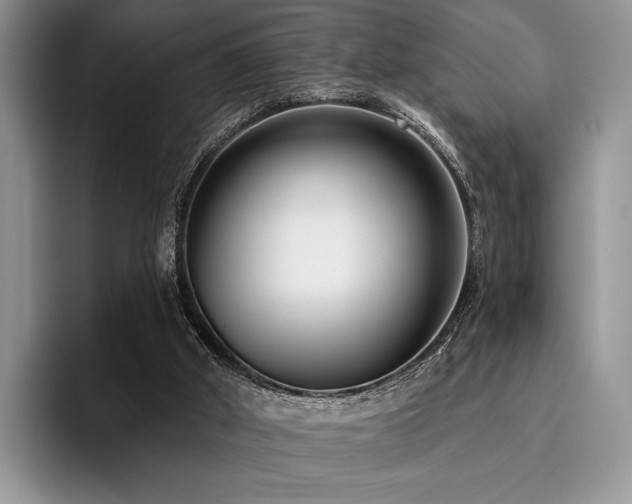 X0000096130010200801181122