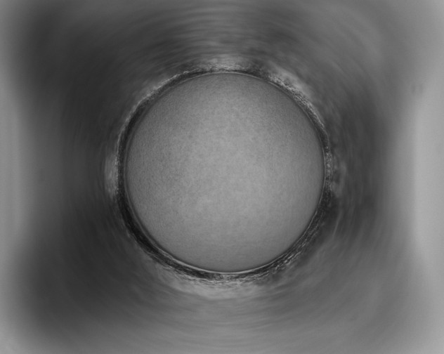 X0000096130012200801181122