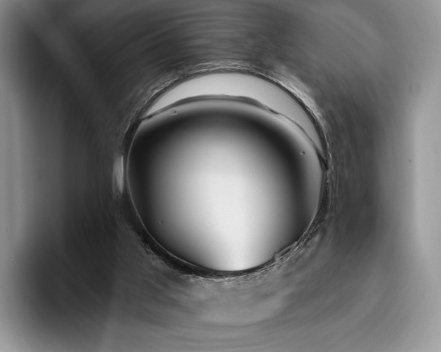 X0000096130013200801181122