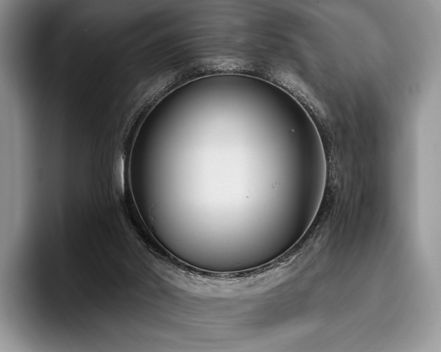 X0000096130014200801181122