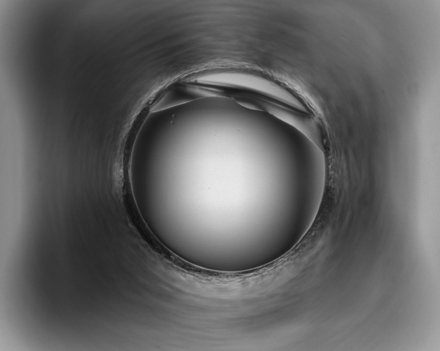 X0000096130015200801181122