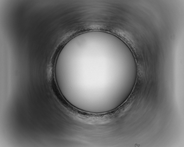 X0000096130016200801181122