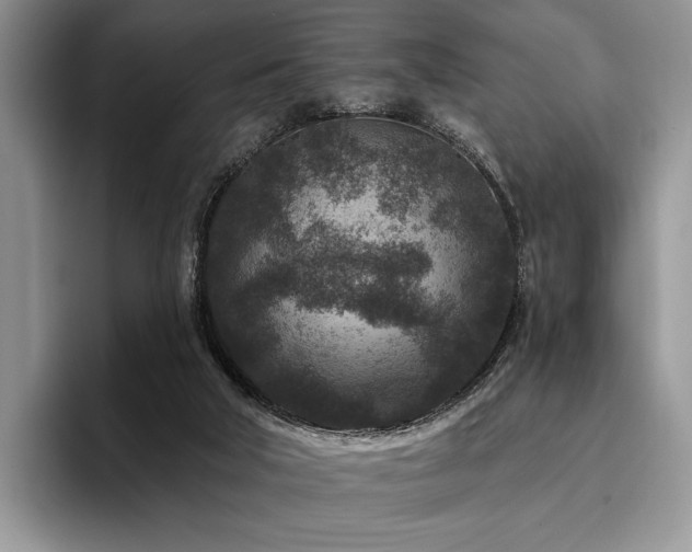 X0000096130018200801181122