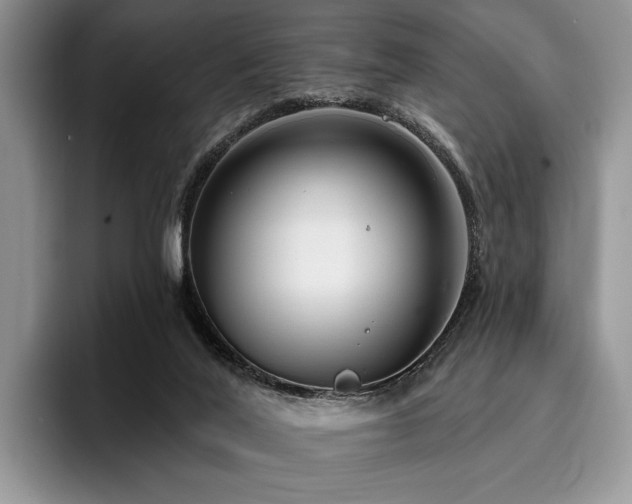 X0000096130020200801181122