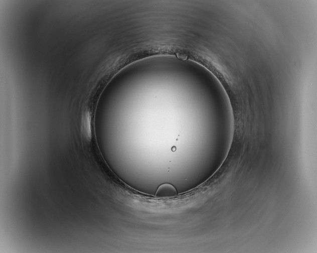X0000096130022200801181122