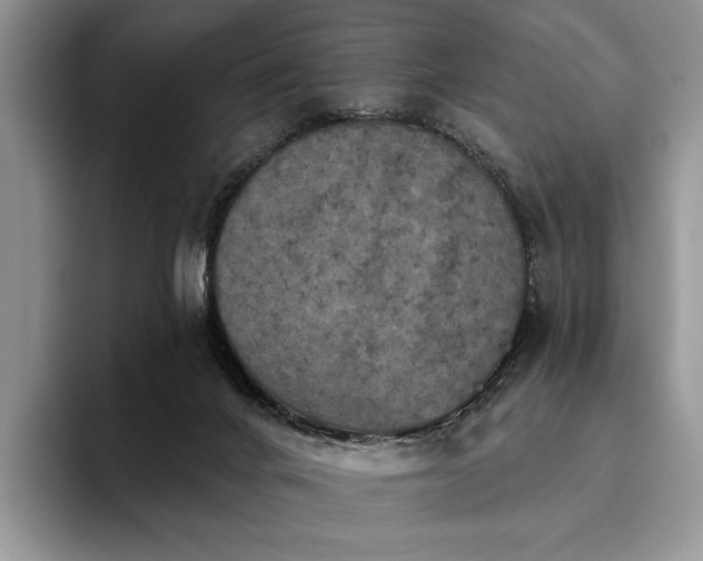 X0000096130024200801181122