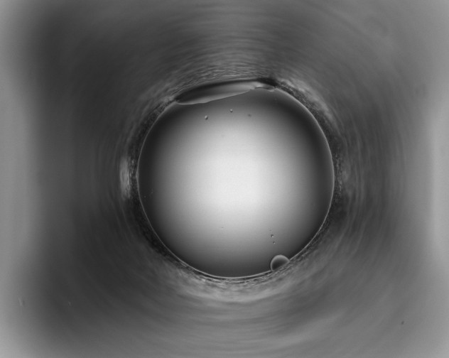 X0000096130026200801181121