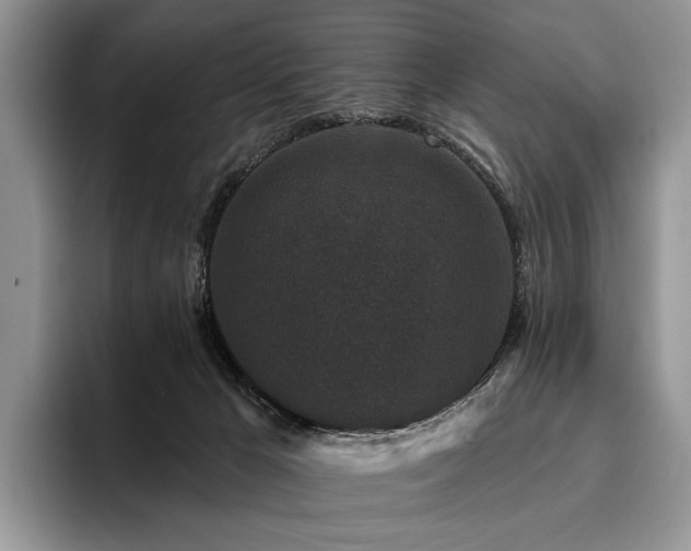 X0000096130029200801181121