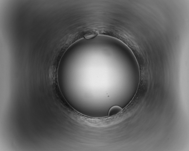 X0000096130030200801181121