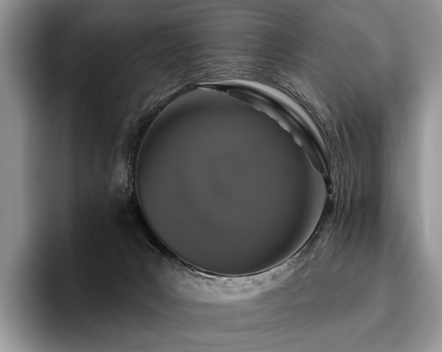 X0000096130031200801181121